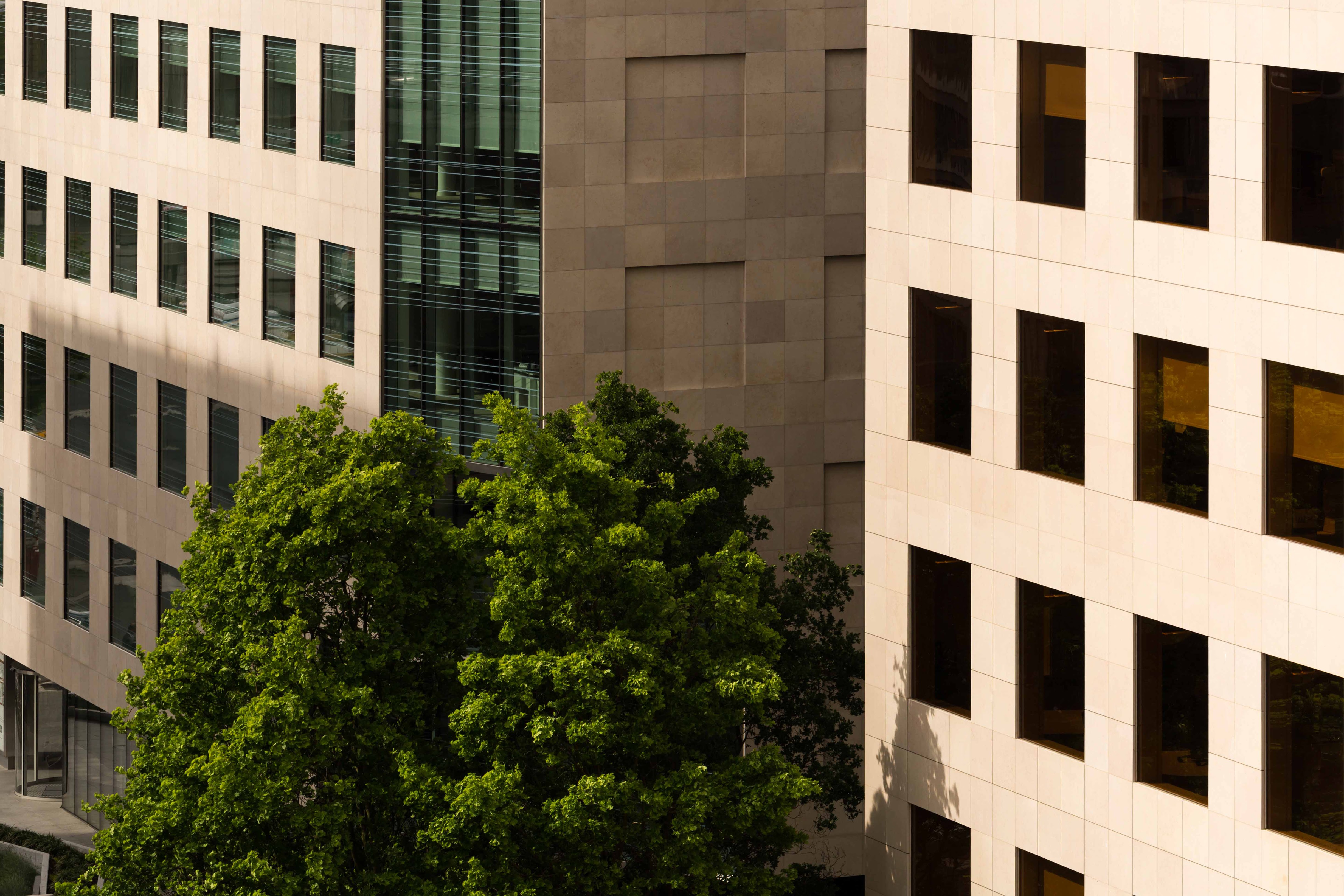 Architecture Royal extérieur_Fernando Guerra_Meanings (79 of 81)