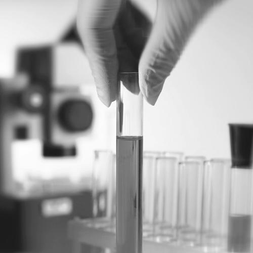 Covid-19 : comment réagissent les investisseurs&nbsp;?